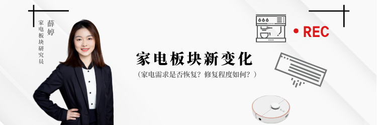 薛婷.png